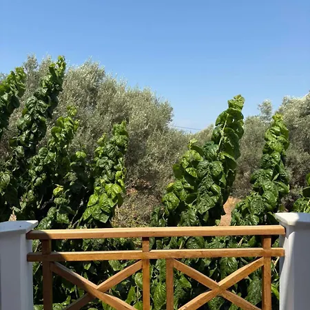 Terra Olea * Lefkáda